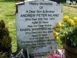 image of grave number 334544